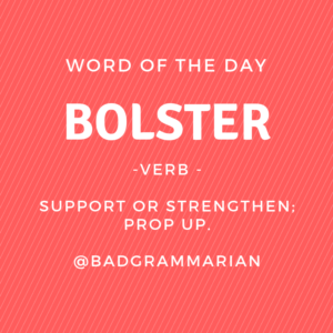 bolster word of the day