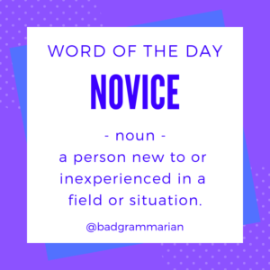 novice Word of the Day