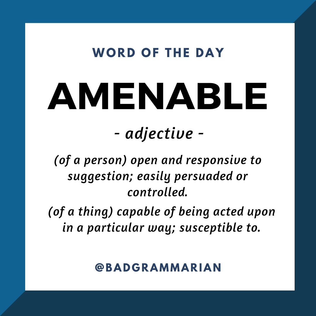 amenable-word-of-the-day