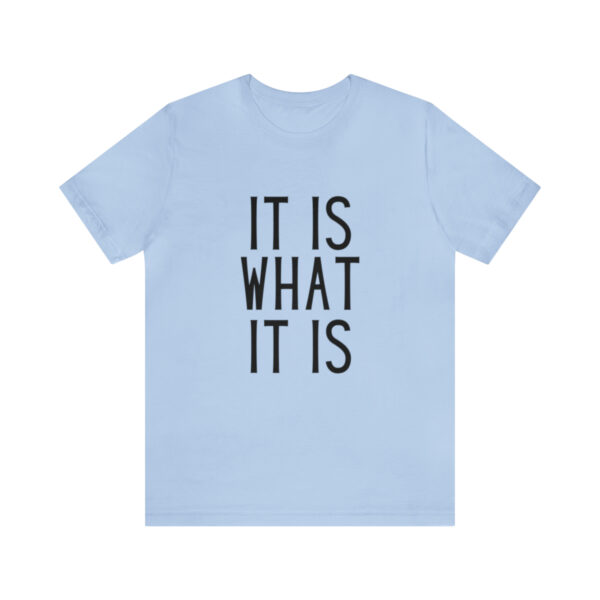 "It Is What It Is" Unisex Jersey Short Sleeve Tee - Various Colors - Image 38