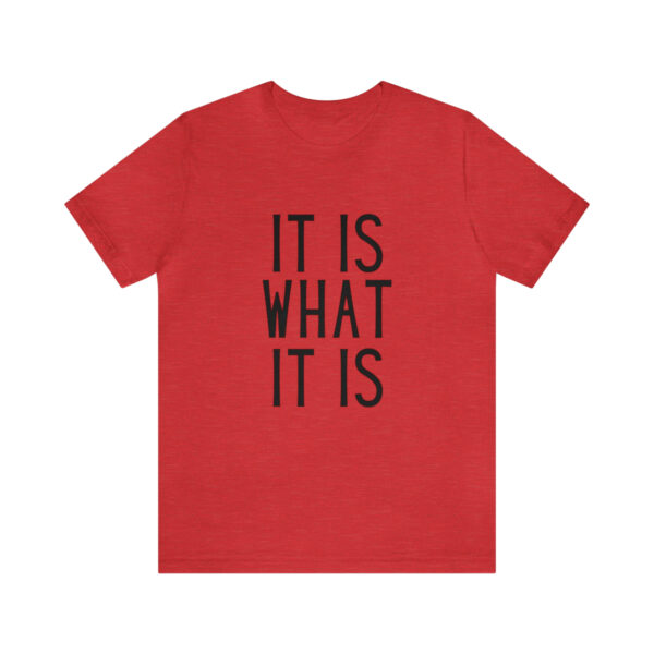 "It Is What It Is" Unisex Jersey Short Sleeve Tee - Various Colors - Image 62