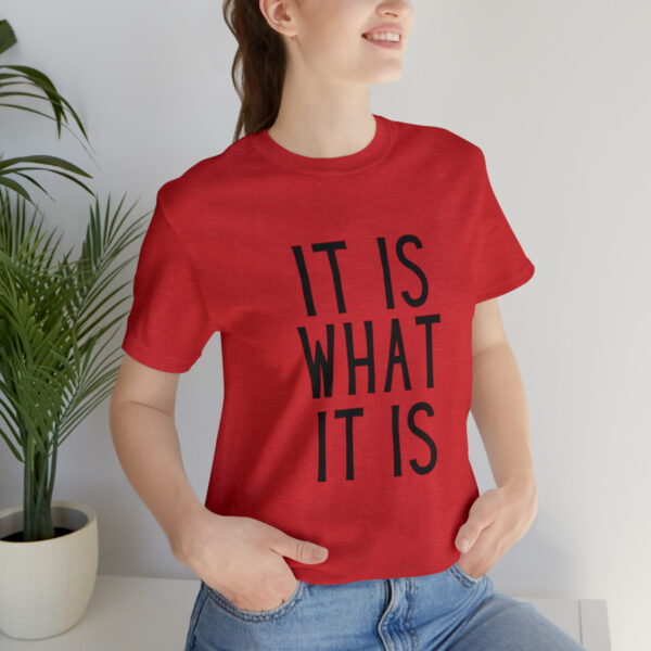 "It Is What It Is" Unisex Jersey Short Sleeve Tee - Various Colors - Image 69