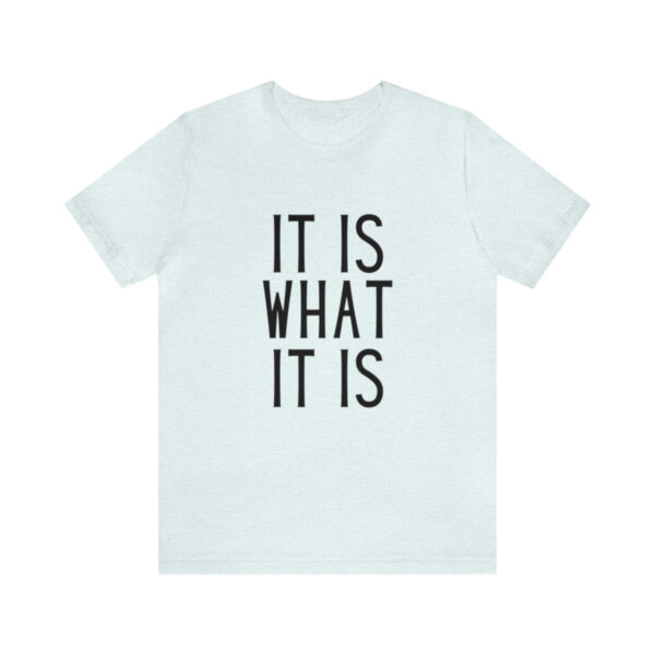 "It Is What It Is" Unisex Jersey Short Sleeve Tee - Various Colors - Image 26