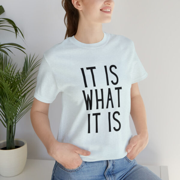 "It Is What It Is" Unisex Jersey Short Sleeve Tee - Various Colors - Image 33