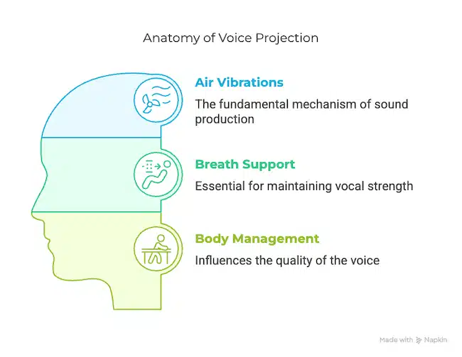 anatomy of voice projection